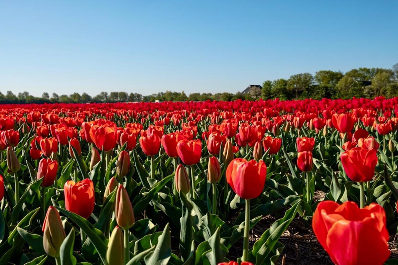 De Cley Bed & Breakfast Noordwijk